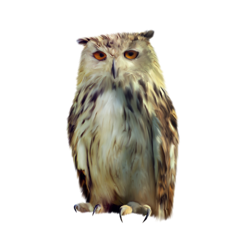 c4131d92.png