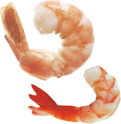 shrimp-psd-428578.png