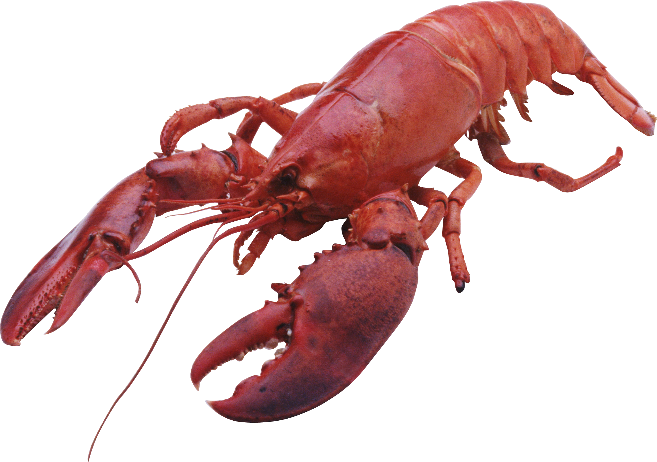 0_1500fa_5e9f38a5_orig.png