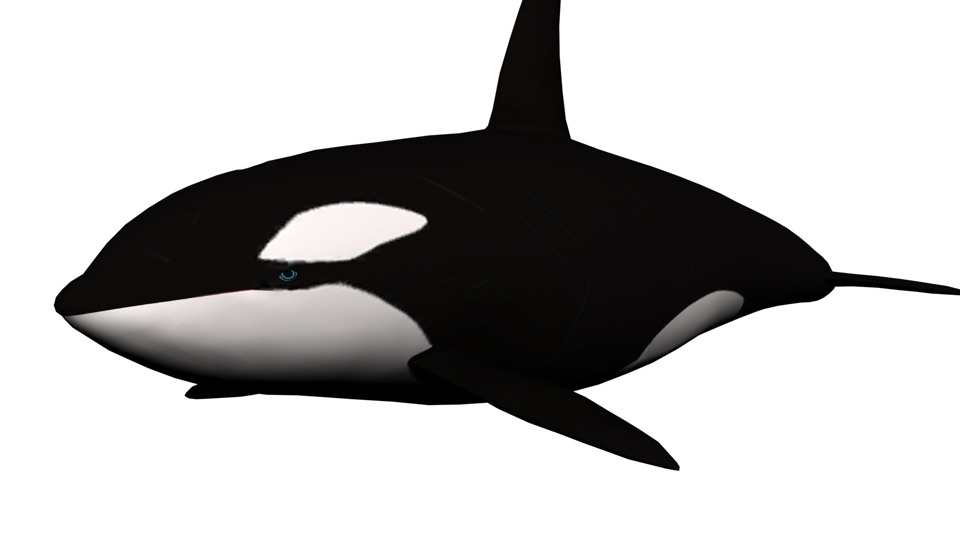 humpback-whale-clipart-WG8Dmx-clipart.png