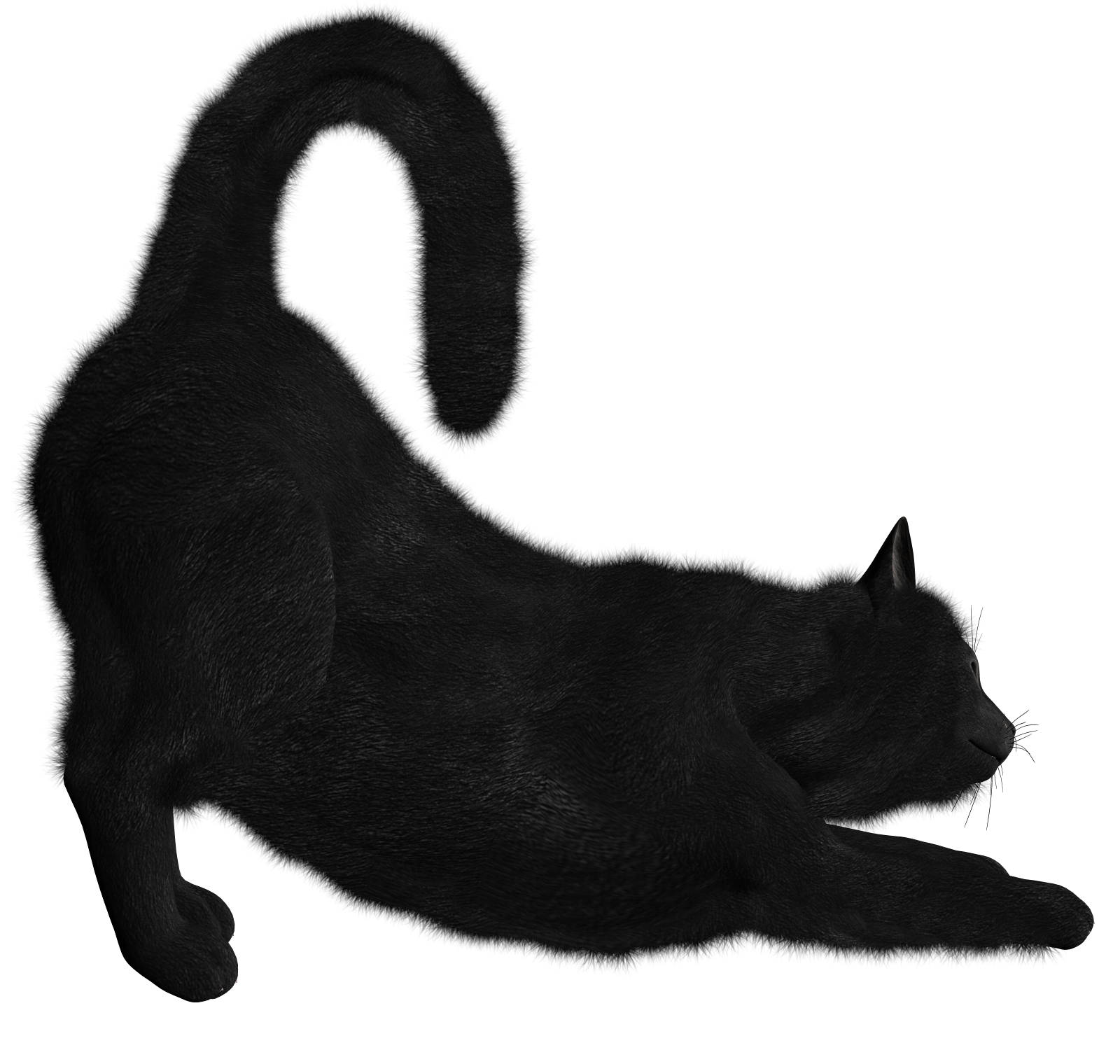 0119.png