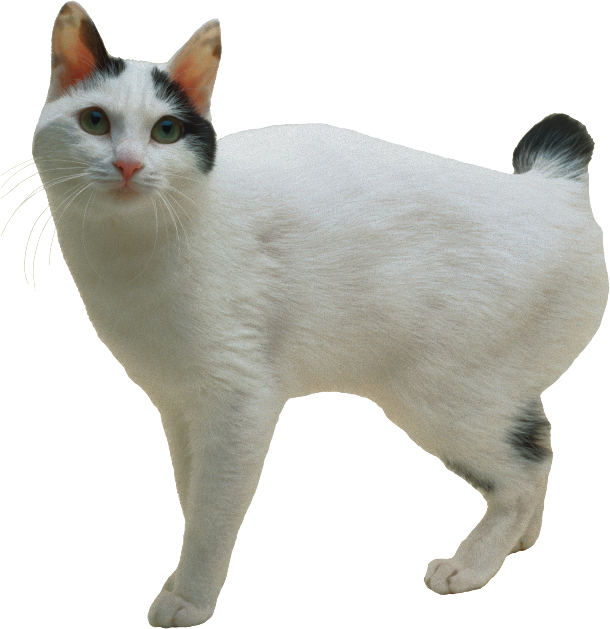 0100.png