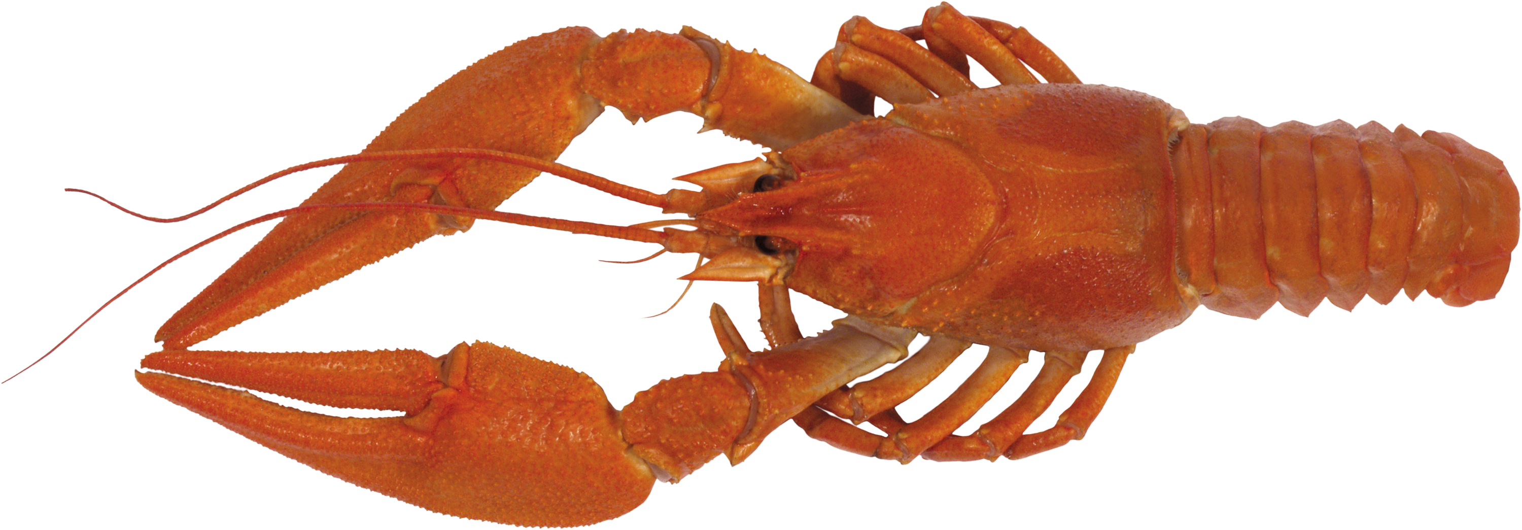 0_7a7aa_294b7ea1_orig.png