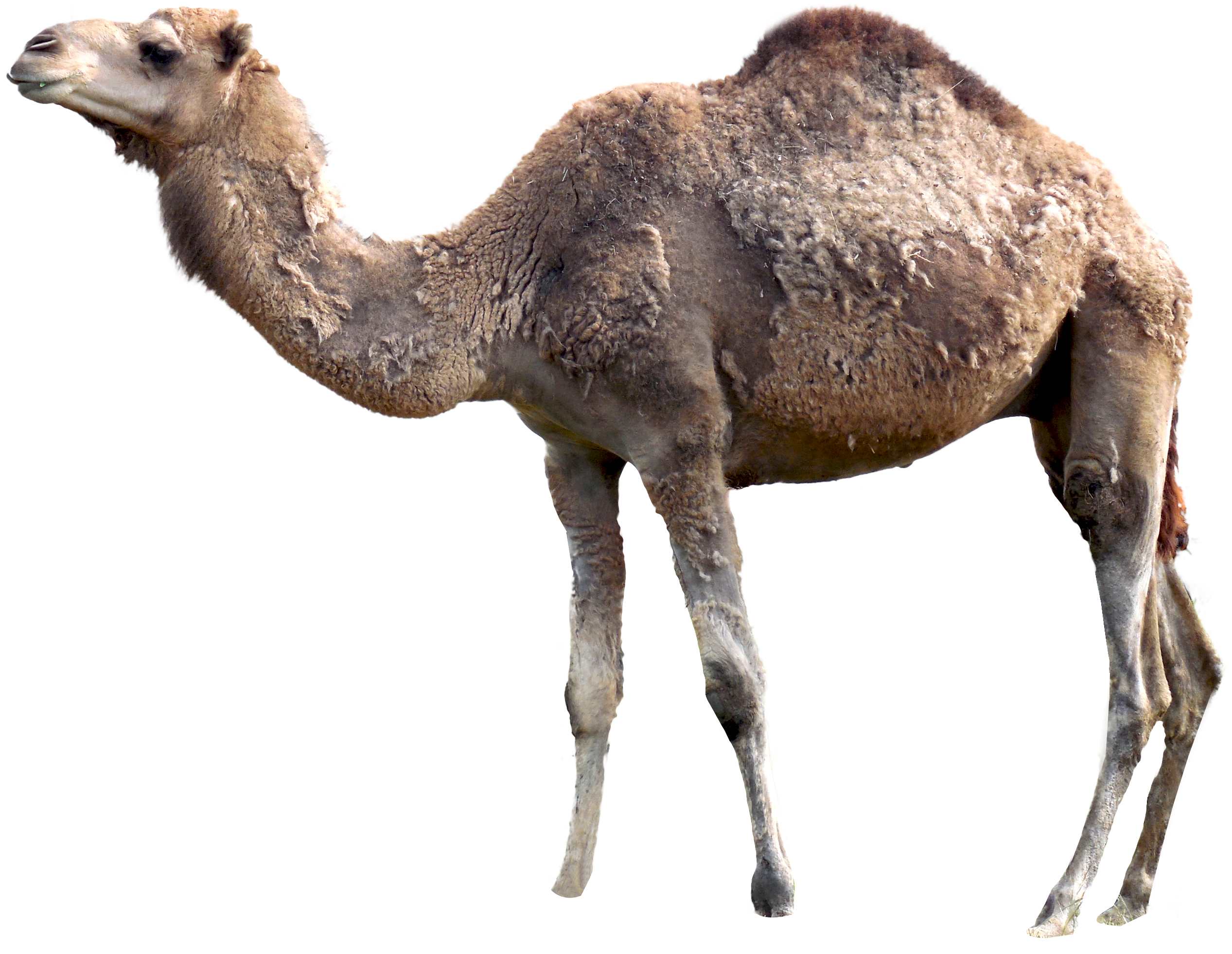 035.png