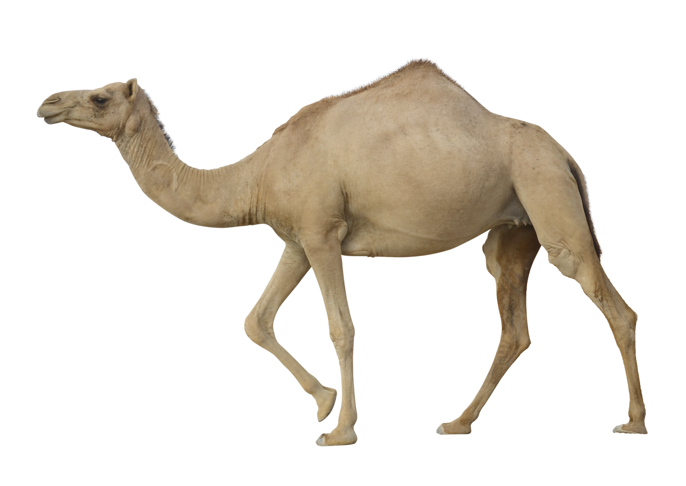 015.png