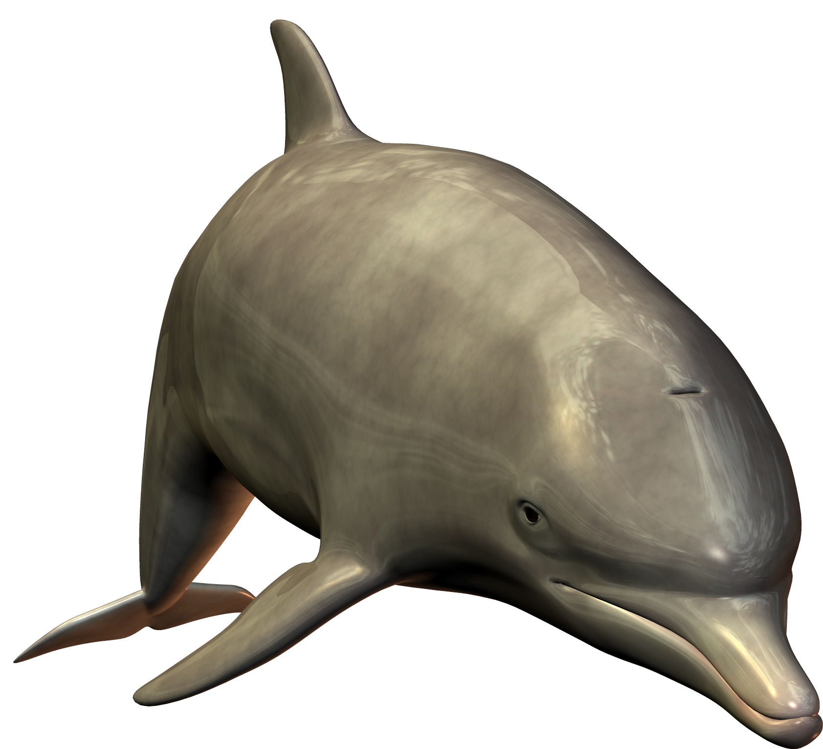 dolph4.png