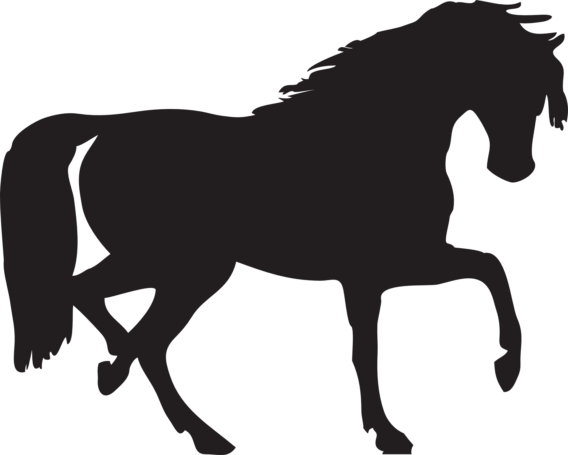 horse_PNG1381522198.png