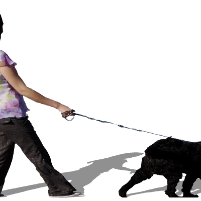 2DT-GNT_girl-and-dog.skp