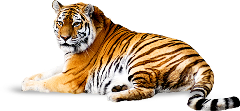 db340c4a287c19d02bc6ec2259410768.png