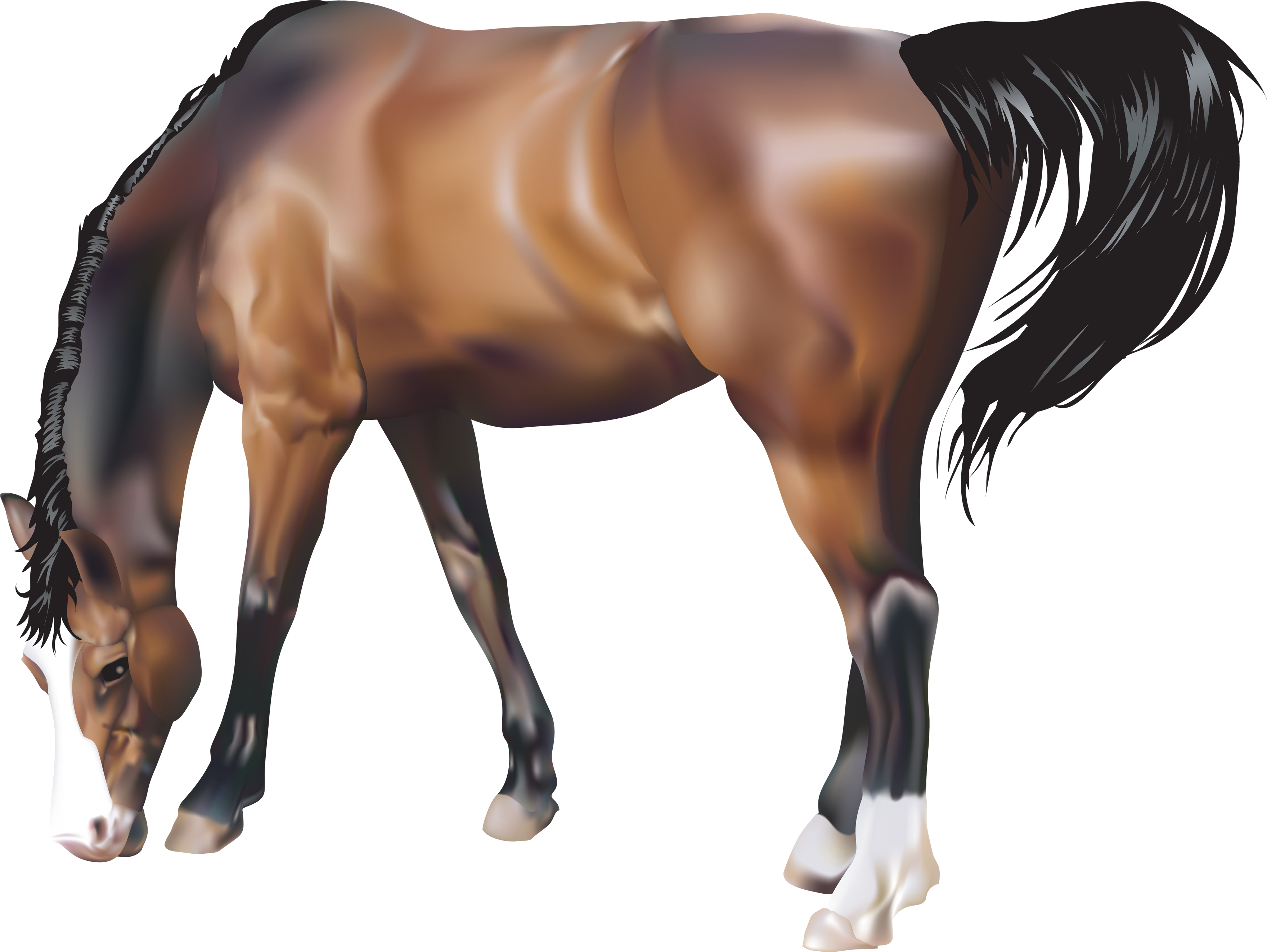 horse_PNG2527.png