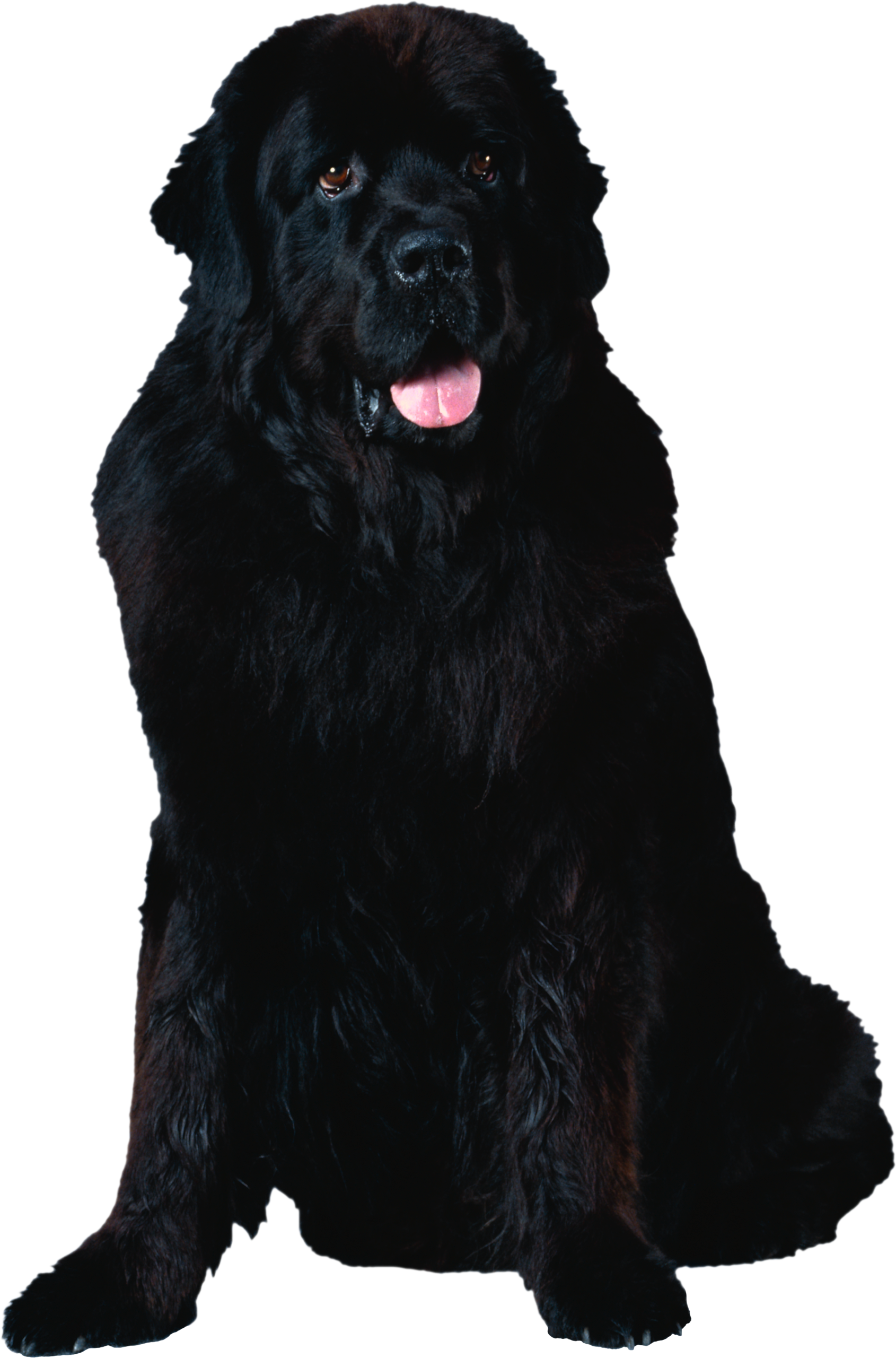 0_16f71b_fa7f95c4_orig.png