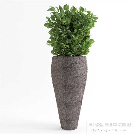 CAY DECOR - 10.jpg