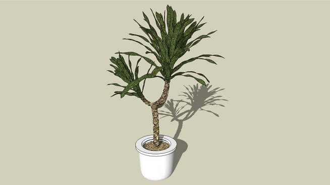 CAY DECOR - 127.jpg