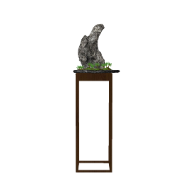 BONSAI 01 (8).skp