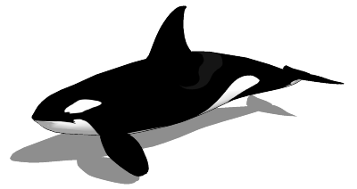 Animals - Killer Whale.png