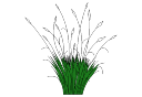 Cay Tong Hop - 1180.skp