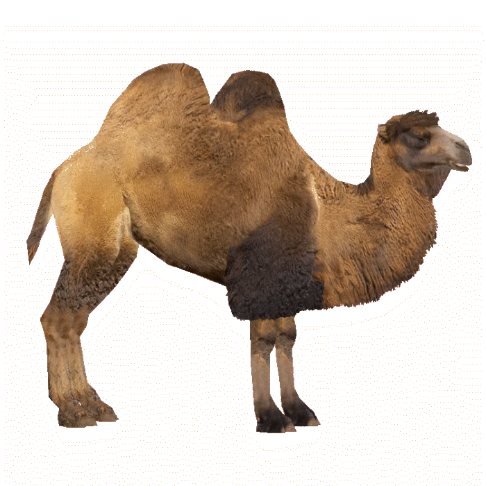 031.png