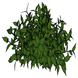Cay Tong Hop - 1629.skp