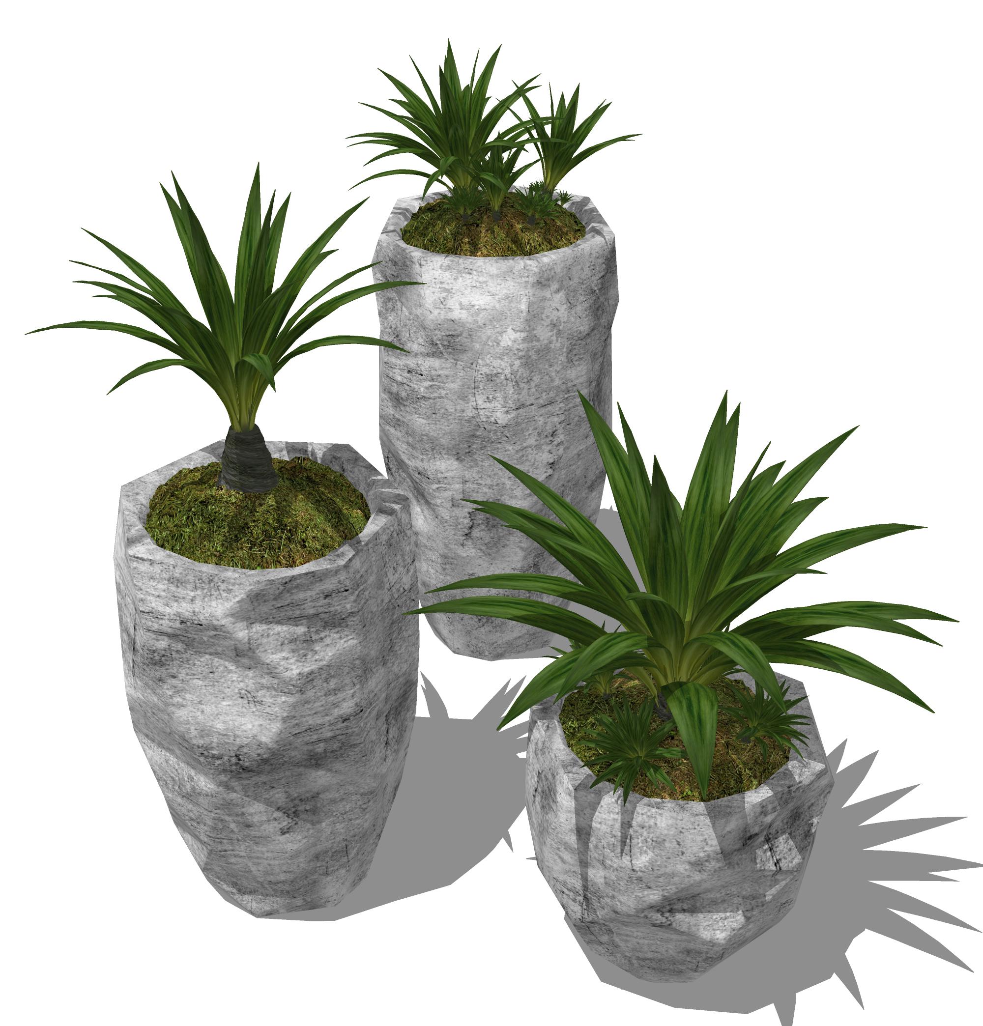 CAY DECOR - 111.jpg