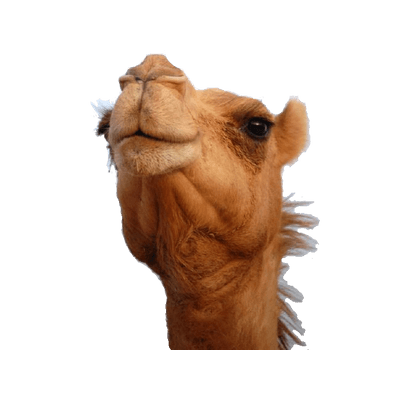 06.png