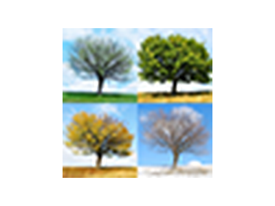 Layers-Tags In Timev1.0.3.rbz