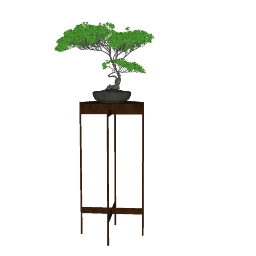 BONSAI 01 (4).skp