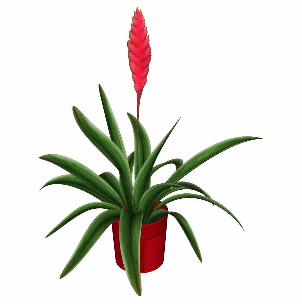 CAY DECOR - 04.jpg