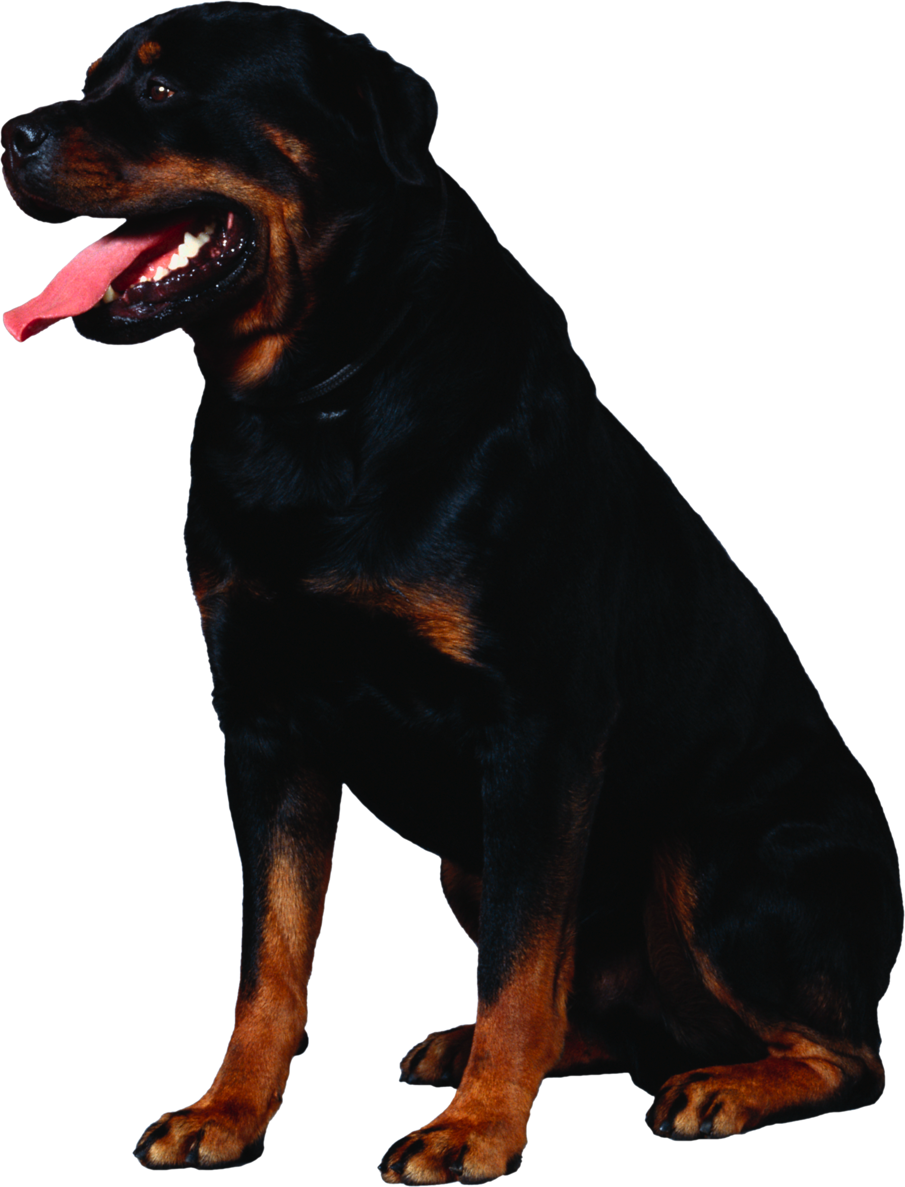 0_16f740_59d460db_orig.png