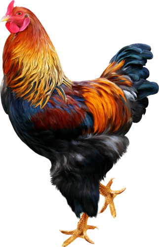 0_abaec_460c138a_L.png