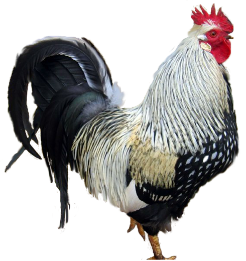 d2d74c88dcb3.png