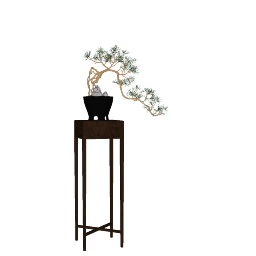 BONSAI 01 (16).skp