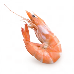 6813733.png