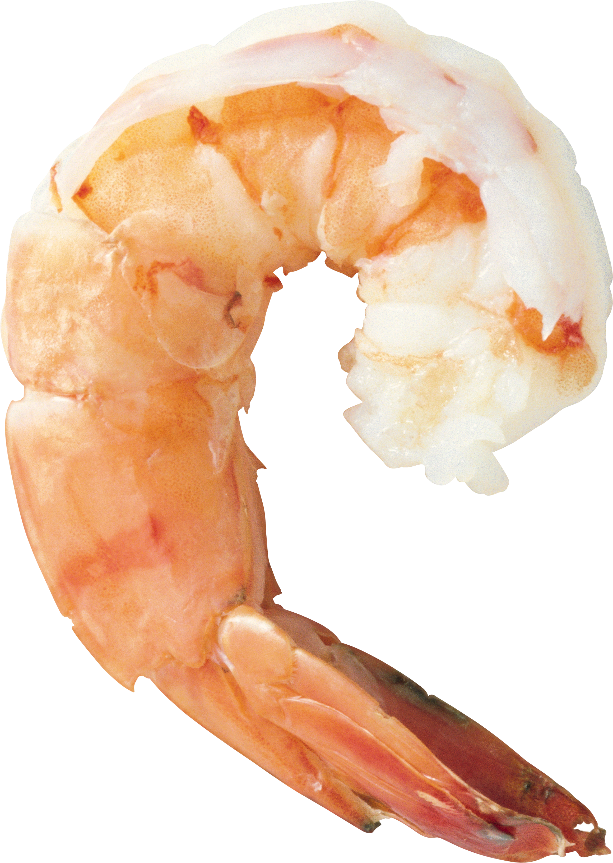 0_8585c_7b8027f1_orig.png