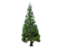Alumi False CypressChamaecyparis lawsoniana _Alumii_.skp