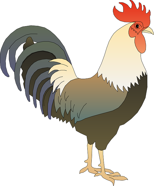 rooster-161546_640.png