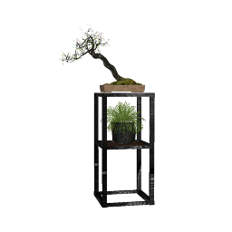 BONSAI 01 (12).skp
