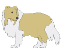 2D_Animal_Dog_Collie.png