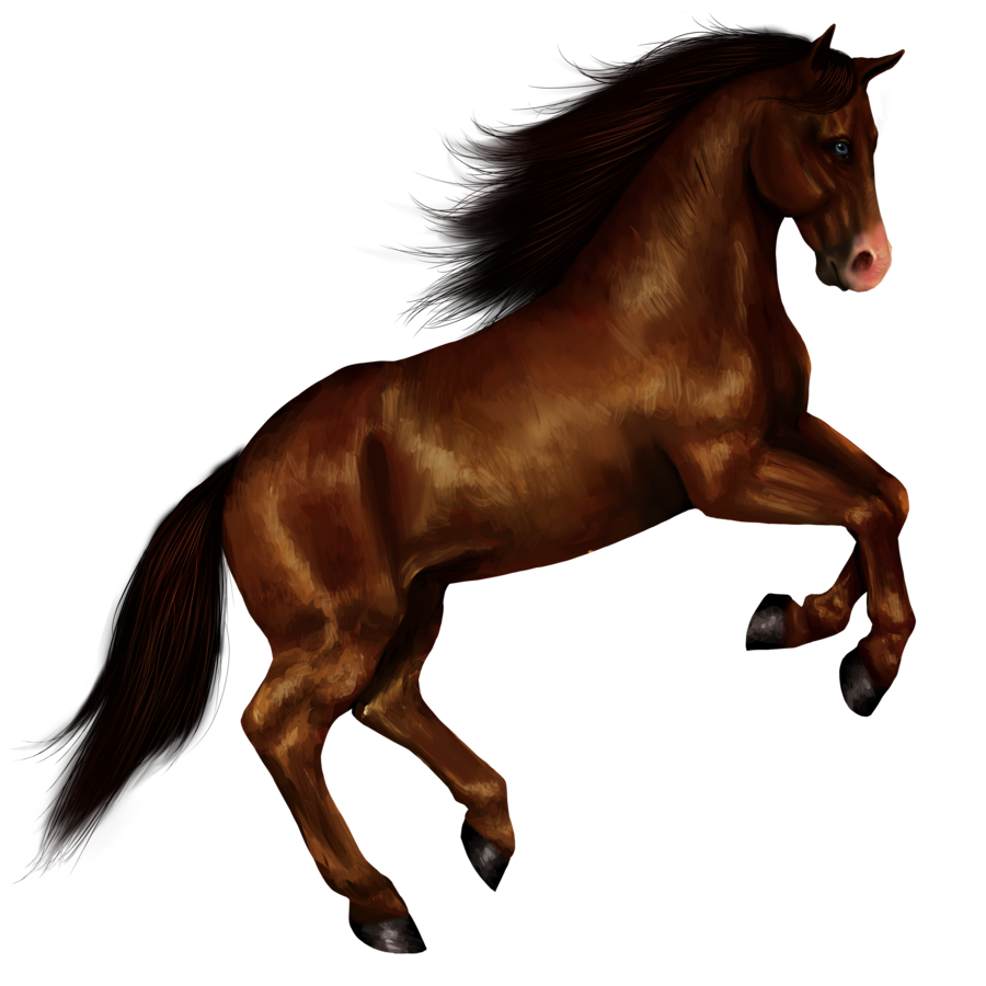 horse_PNG1381522279.png