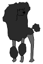 2D_Animal_Dog_Poodle.png