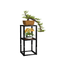 BONSAI 01 (15).skp