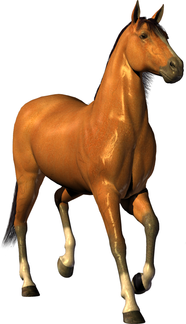 horse_PNG1381522974.png
