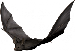 011.png