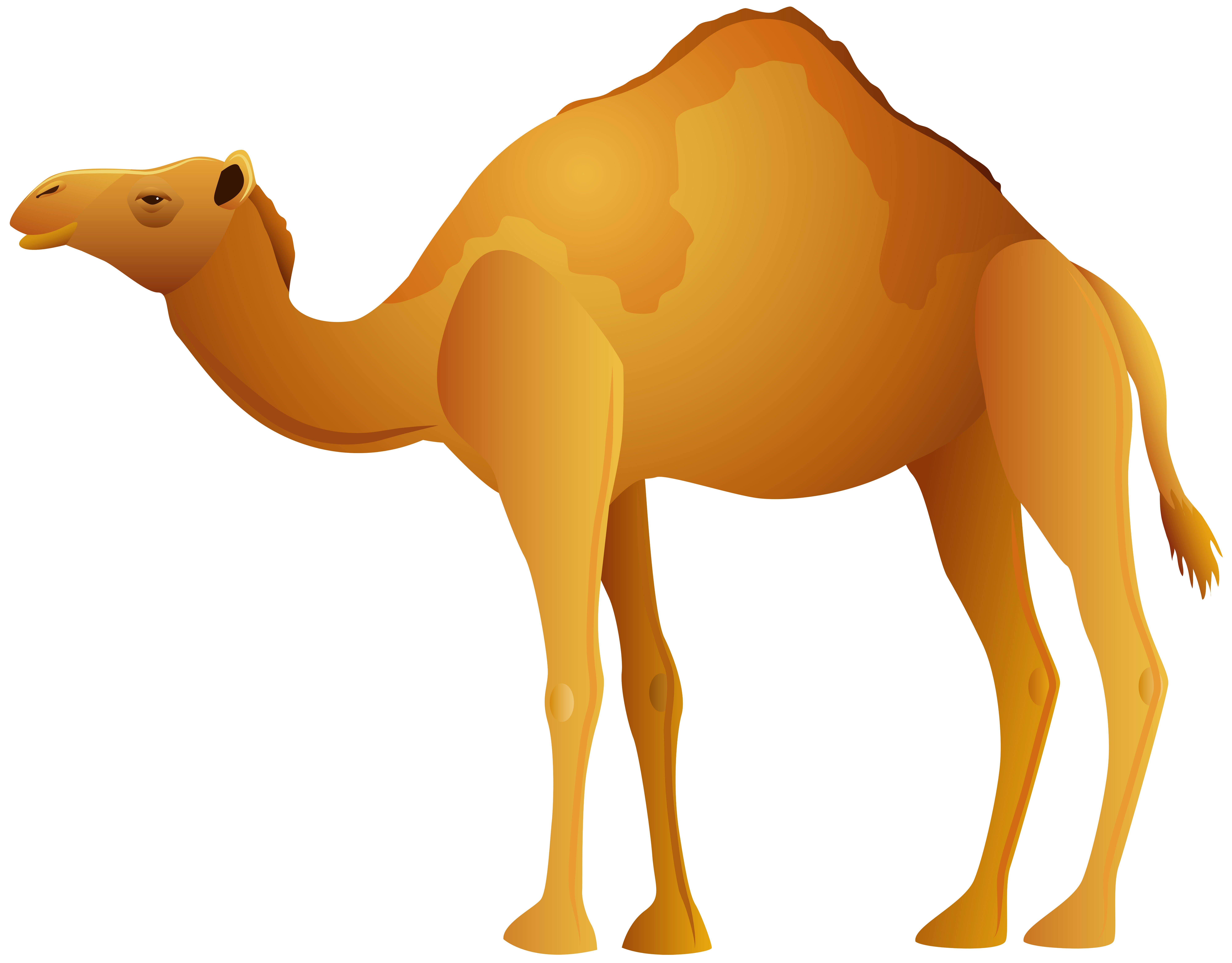 014.png