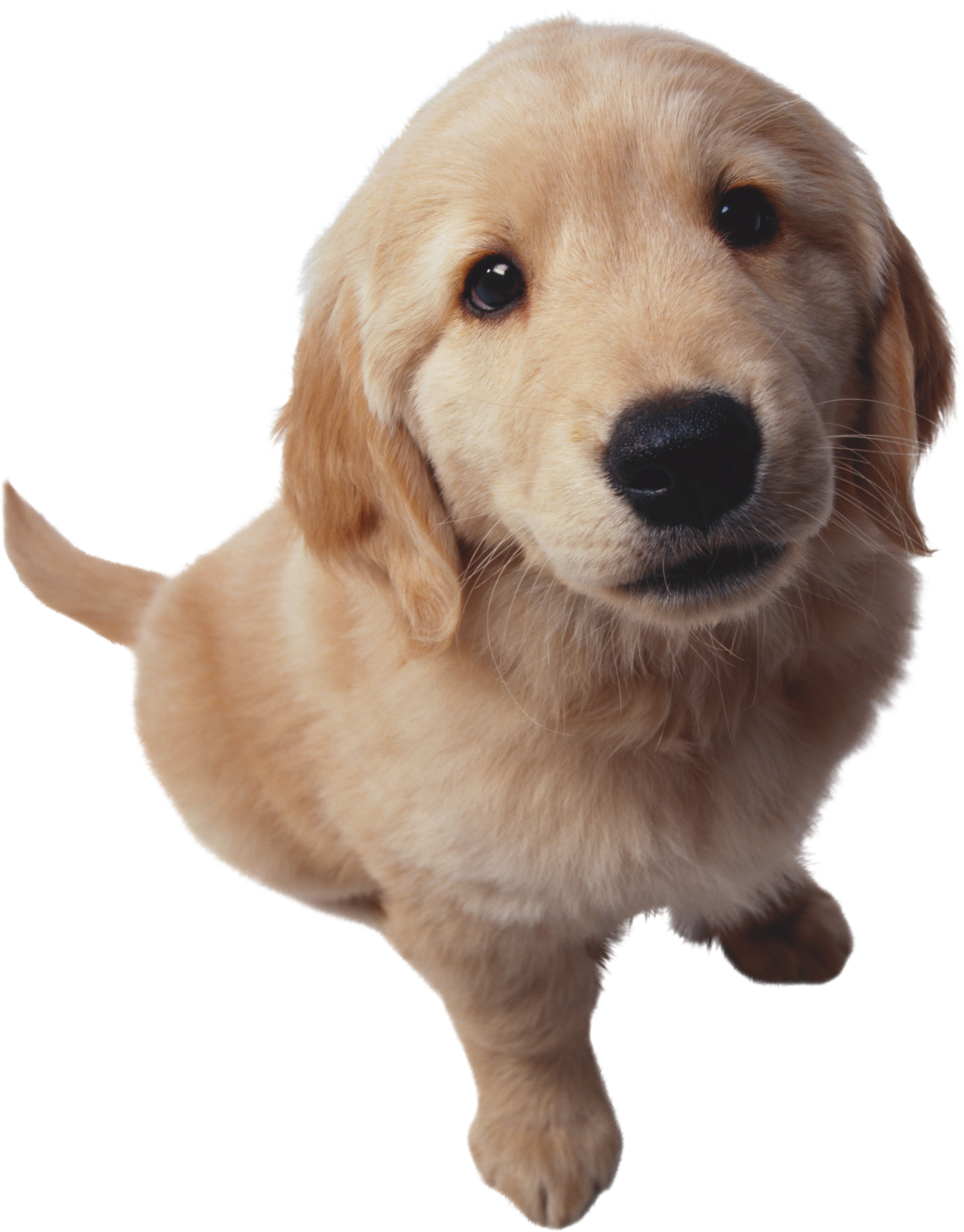 0_12c537_5a5b7b21_orig.png