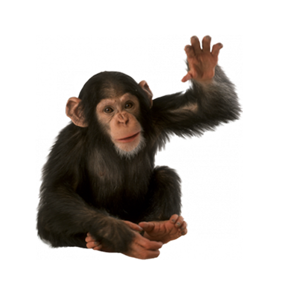 3-obezjanka_klipart.png