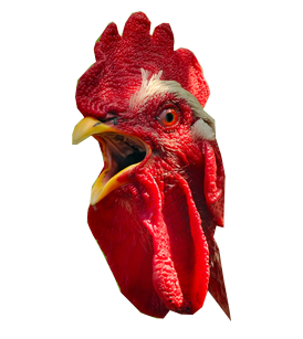 56a7329f210661527d1dbd9f.png