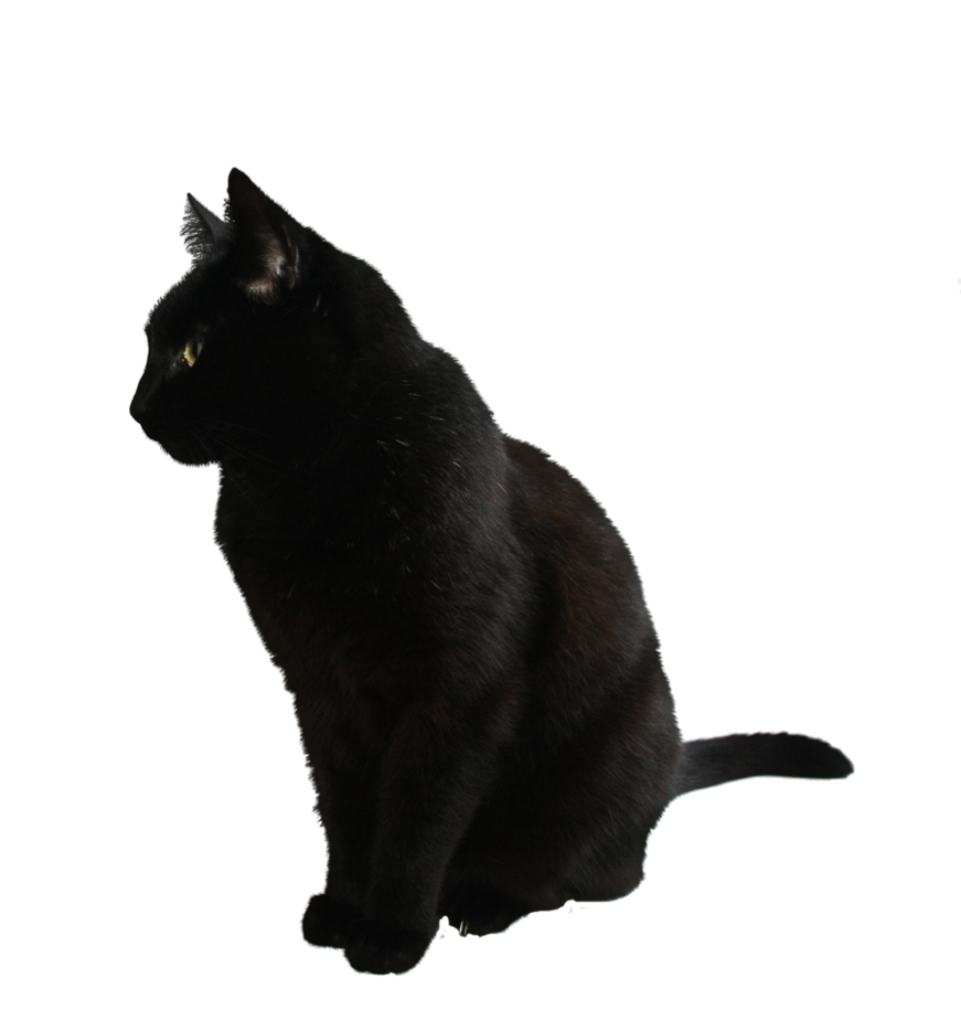0138.png