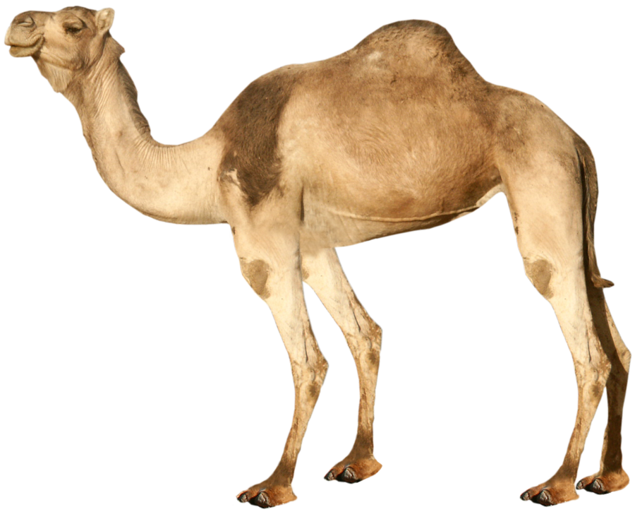 022.png