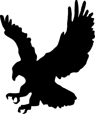 eagle_PNG1203.png