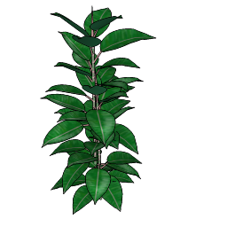 Cay Tong Hop - 1760.skp
